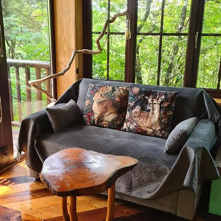 Ark Ranch Treehouse, Rainforest Oasis In West Cork