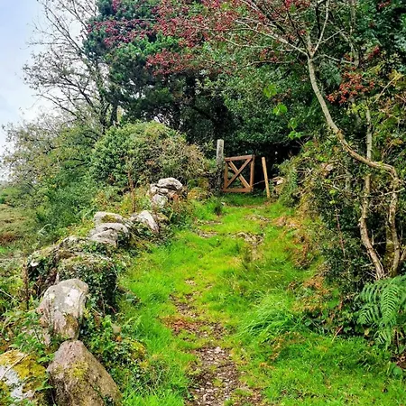 Chalé Ark Ranch Treehouse, Rainforest Oasis In West Cork *