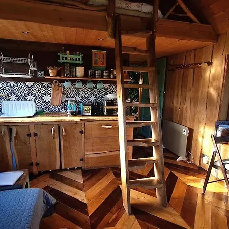 Ark Ranch Treehouse, Rainforest Oasis In West Cork