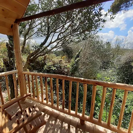 Chalé Ark Ranch Treehouse, Rainforest Oasis In West Cork Macroom