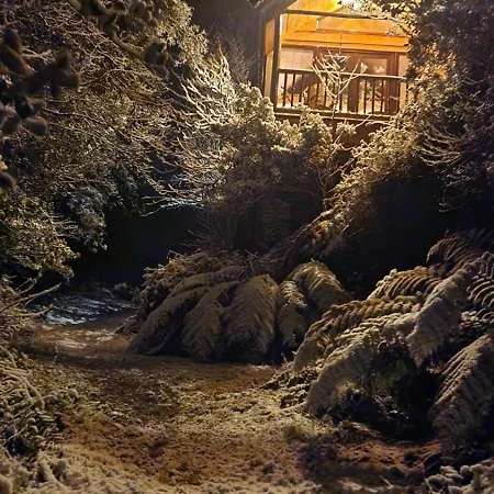 Ark Ranch Treehouse, Rainforest Oasis In West Cork Chalé Macroom