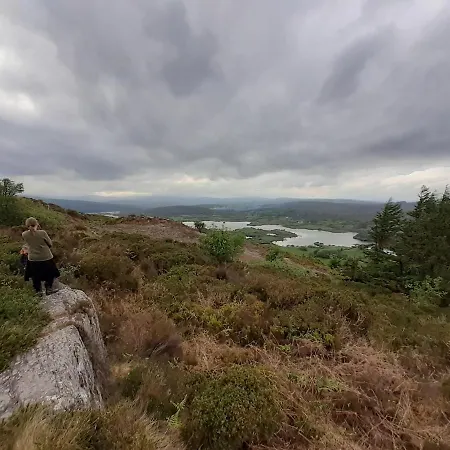 Chalé Ark Ranch Treehouse, Rainforest Oasis In West Cork