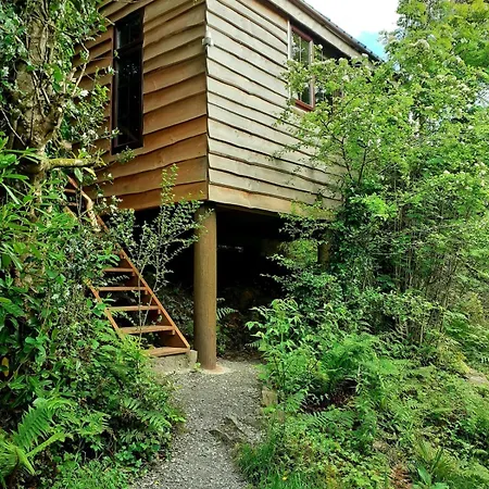 Ark Ranch Treehouse, Rainforest Oasis In West Cork Chalé *