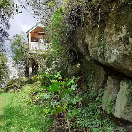 Chalé Ark Ranch Treehouse, Rainforest Oasis In West Cork
