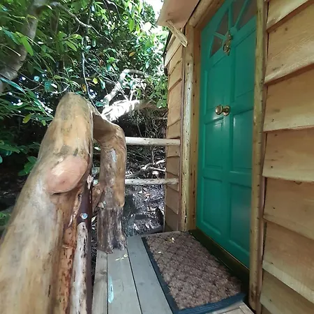 Chalé Ark Ranch Treehouse, Rainforest Oasis In West Cork