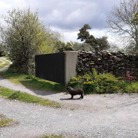 Ark Ranch Treehouse, Rainforest Oasis In West Cork * Macroom