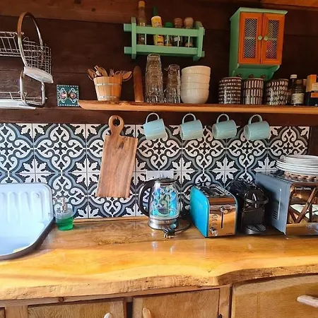 Ark Ranch Treehouse, Rainforest Oasis In West Cork Macroom