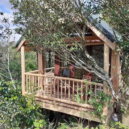 Ark Ranch Treehouse, Rainforest Oasis In West Cork Macroom