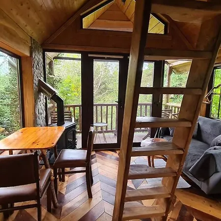 Ark Ranch Treehouse, Rainforest Oasis In West Cork