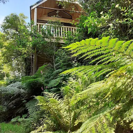 Ark Ranch Treehouse, Rainforest Oasis In West Cork *