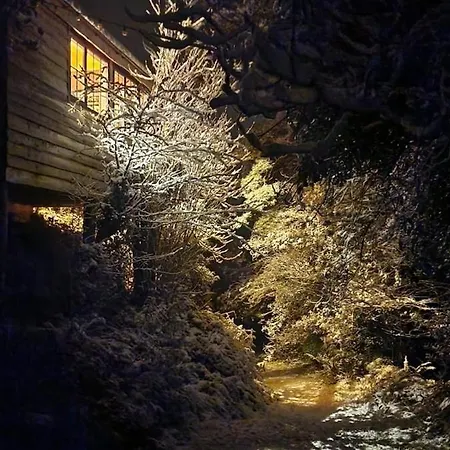 Chalé Ark Ranch Treehouse, Rainforest Oasis In West Cork
