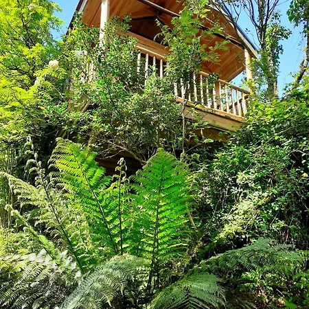 Chalé Ark Ranch Treehouse, Rainforest Oasis In West Cork Macroom