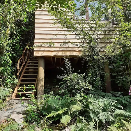 Chalé Ark Ranch Treehouse, Rainforest Oasis In West Cork Macroom