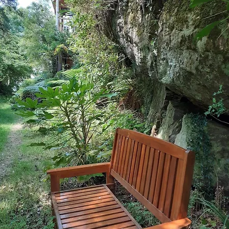 Ark Ranch Treehouse, Rainforest Oasis In West Cork * Macroom