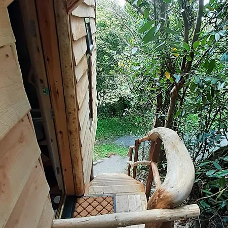 Chalé Ark Ranch Treehouse, Rainforest Oasis In West Cork Macroom