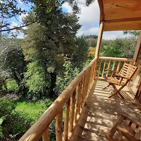 Ark Ranch Treehouse, Rainforest Oasis In West Cork *