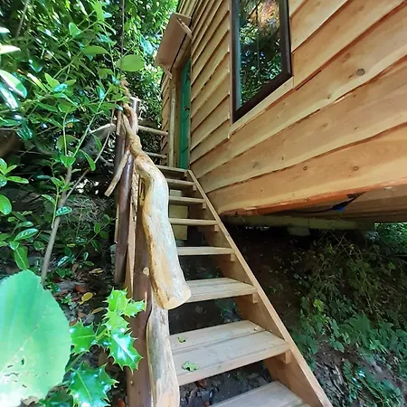 Chalé Ark Ranch Treehouse, Rainforest Oasis In West Cork *