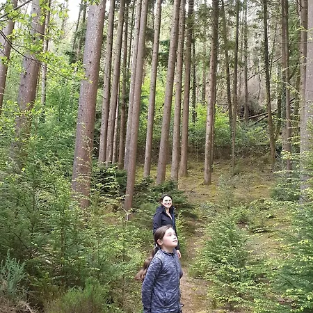 Ark Ranch Treehouse, Rainforest Oasis In West Cork Chalé
