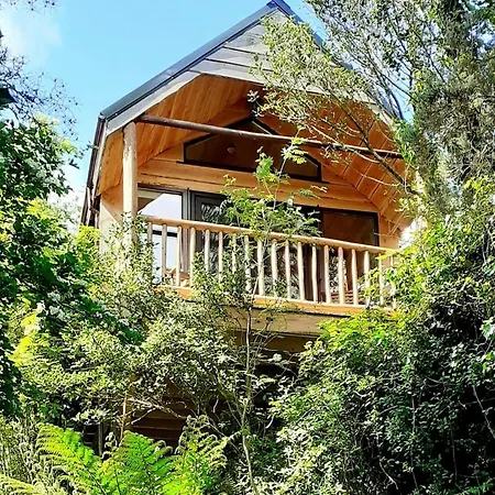 Ark Ranch Treehouse, Rainforest Oasis In West Cork Chalé Macroom