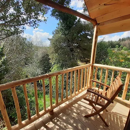 Ark Ranch Treehouse, Rainforest Oasis In West Cork Macroom