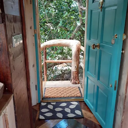 Chalé Ark Ranch Treehouse, Rainforest Oasis In West Cork