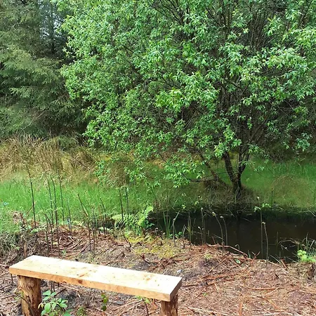 Ark Ranch Treehouse, Rainforest Oasis In West Cork *