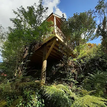 Ark Ranch Treehouse, Rainforest Oasis In West Cork Macroom